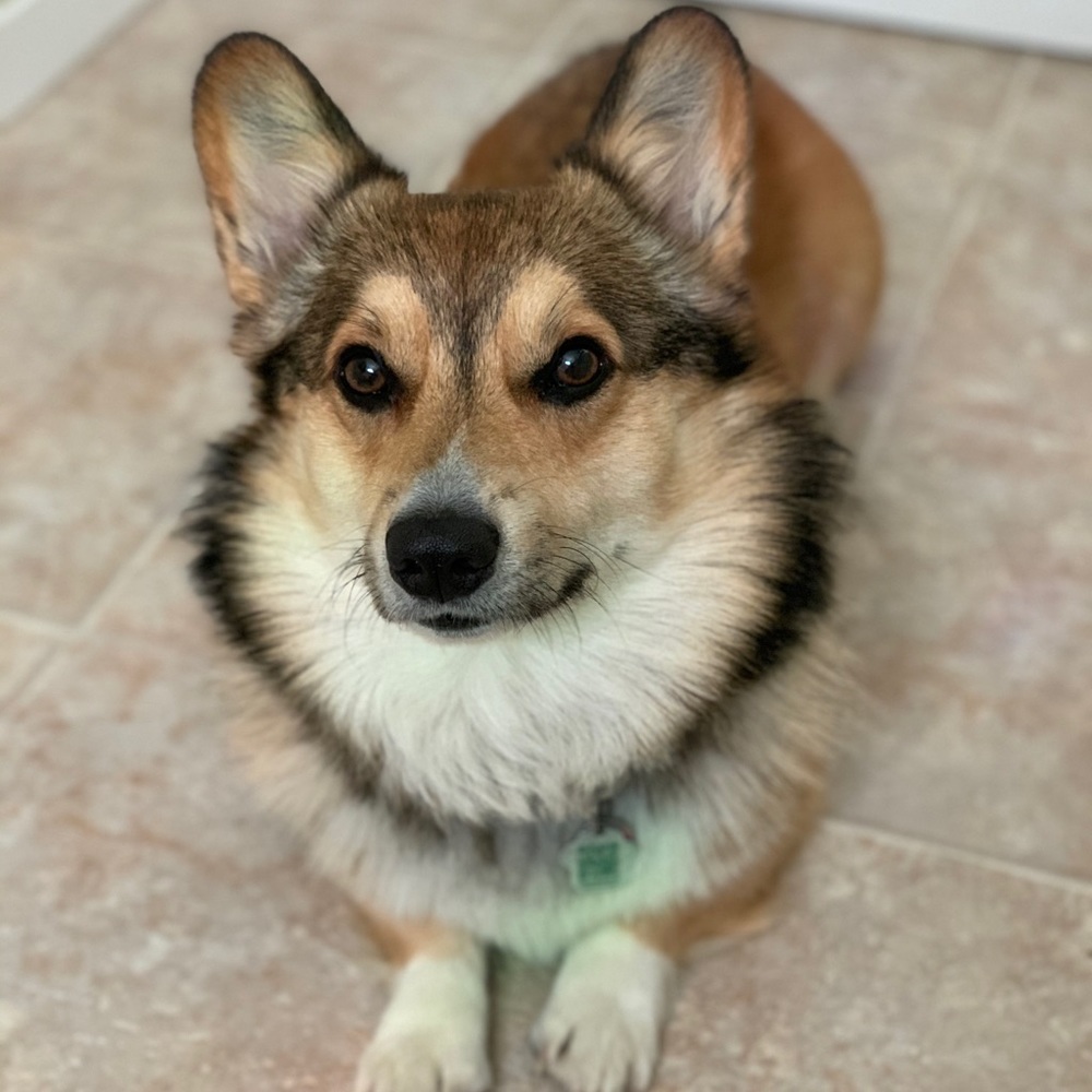 Meet your Posher, Laura